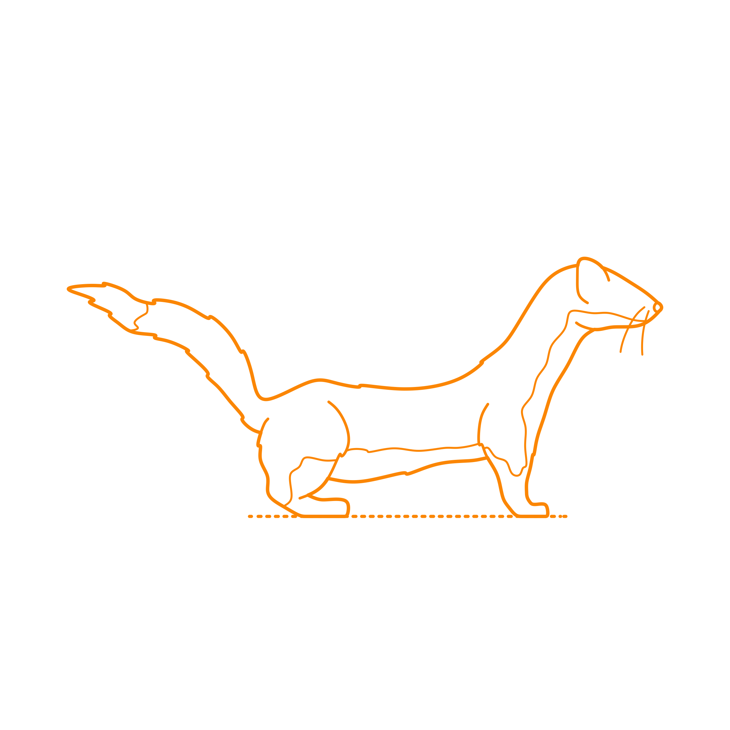 Animals Mustelids Long Tailed Weasel Line Art Illustration Svg Free Vectors